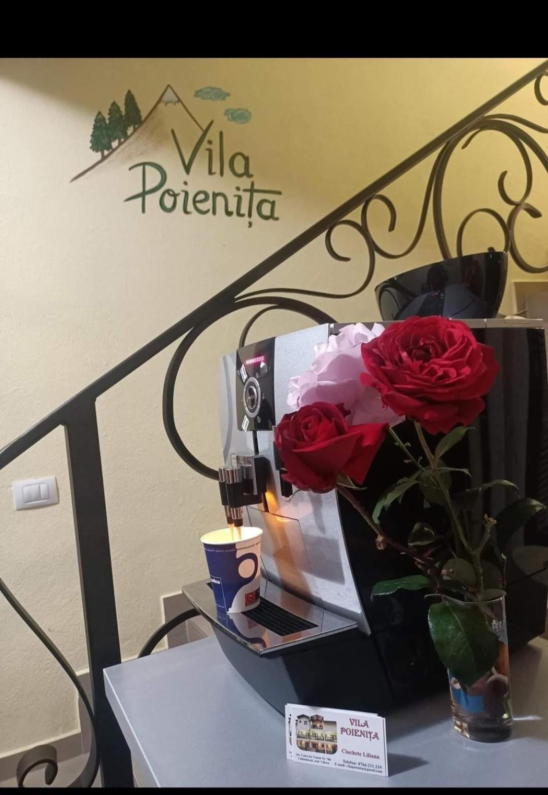 Călimăneşti Vila Poienita Caciulata מראה חיצוני תמונה